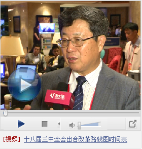 迟福林_迟福林 收入分配