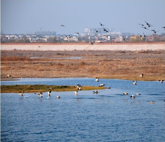 汝州gdp_大数据 看汝州发展 为汝州速度震惊(2)